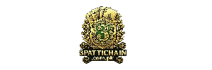 3pattichain.com.pk